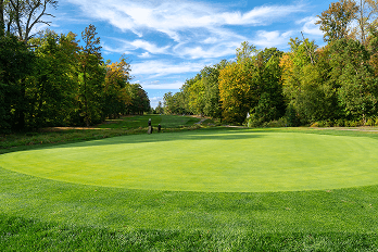 Golf image 3